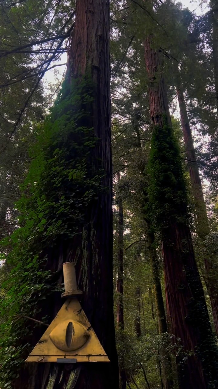 Pacific Northwest Road Trip Evokes Gravity Falls Mystery