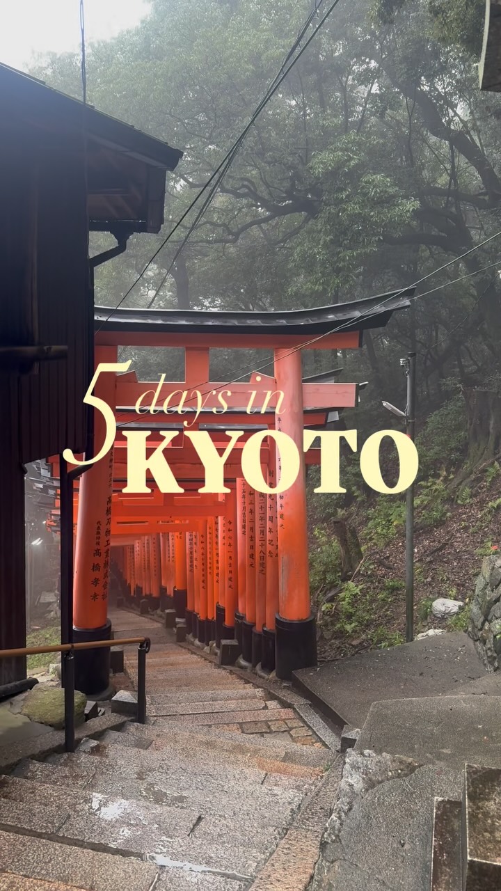 Kyoto's Cultural, Natural, and Culinary Gems