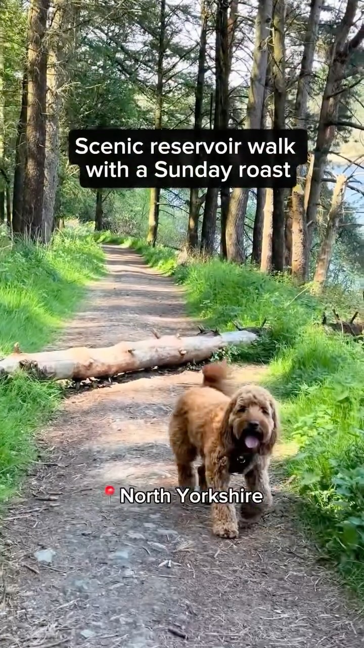 Reservoir Walk and Pub Roast Dinner
