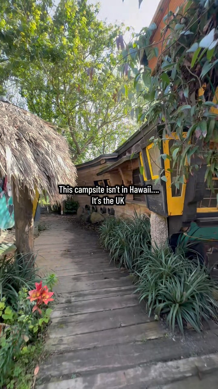Cornwall Campsite Evokes Tropical Paradise
