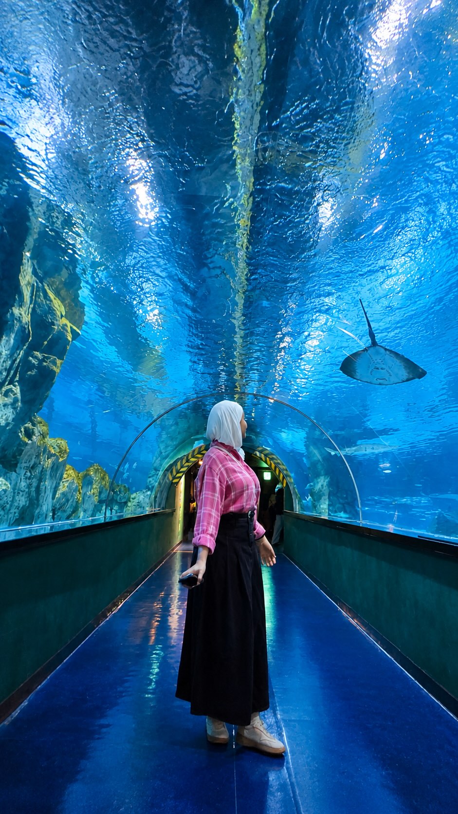 Coex Aquarium's Diverse Marine Life and Exhibits