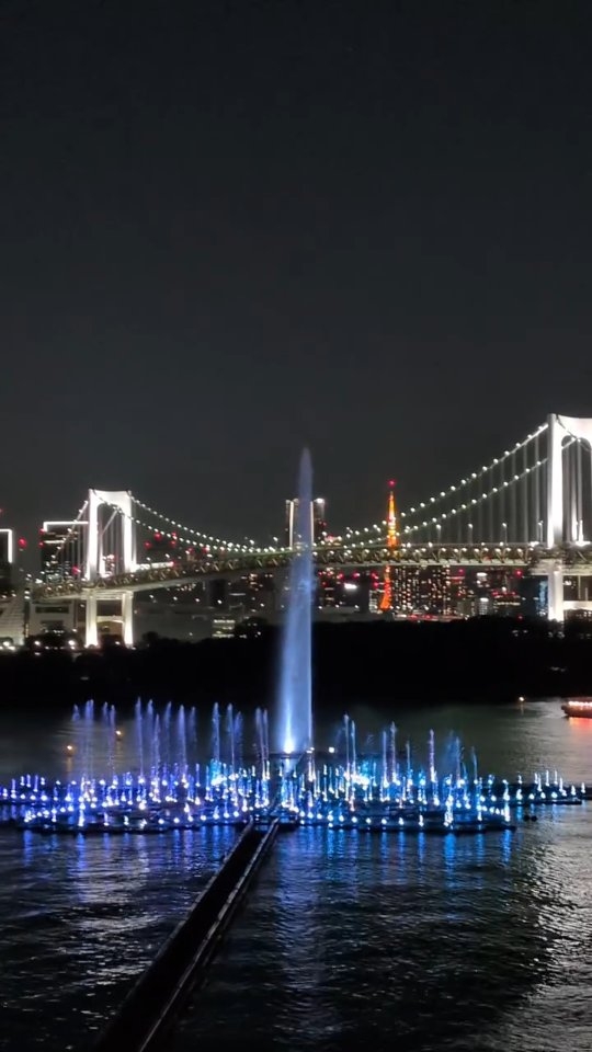 Tokyo's Illuminated Waterfront Views