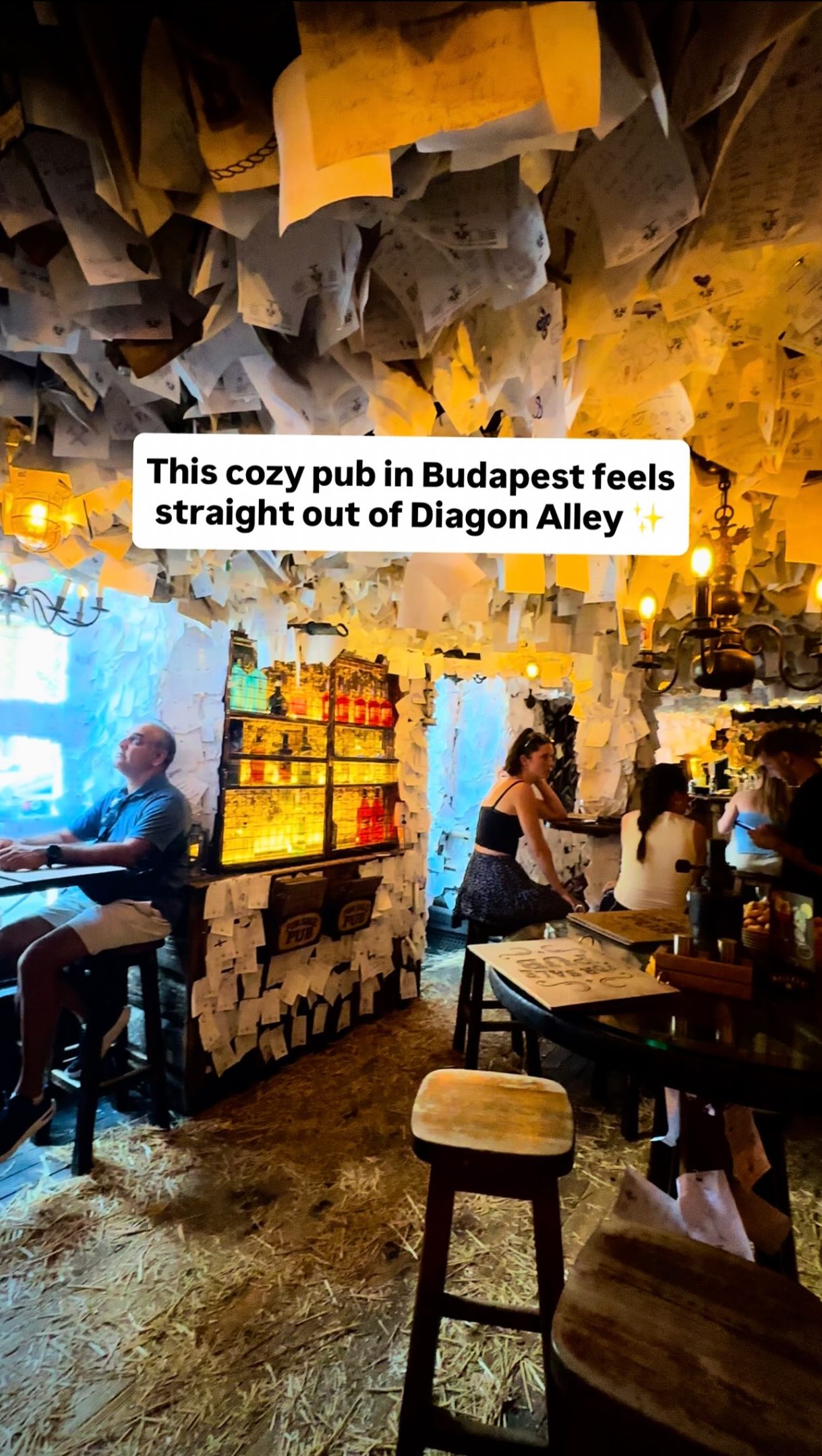 Budapest's Unique Pub, Market, and Bridge