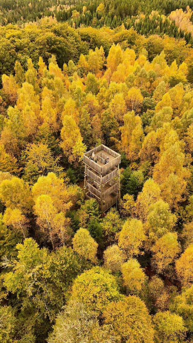 Autumn Scenery At Swedish Observation Tower