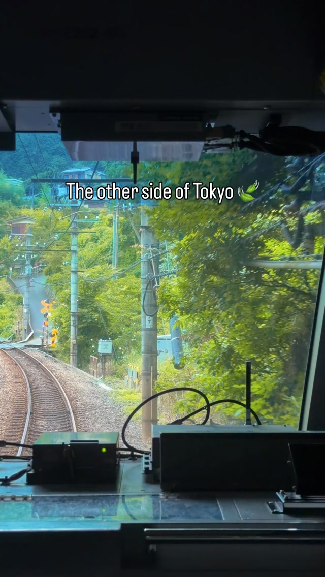 Tokyo's Tranquil Escape To Okutama's Mountains