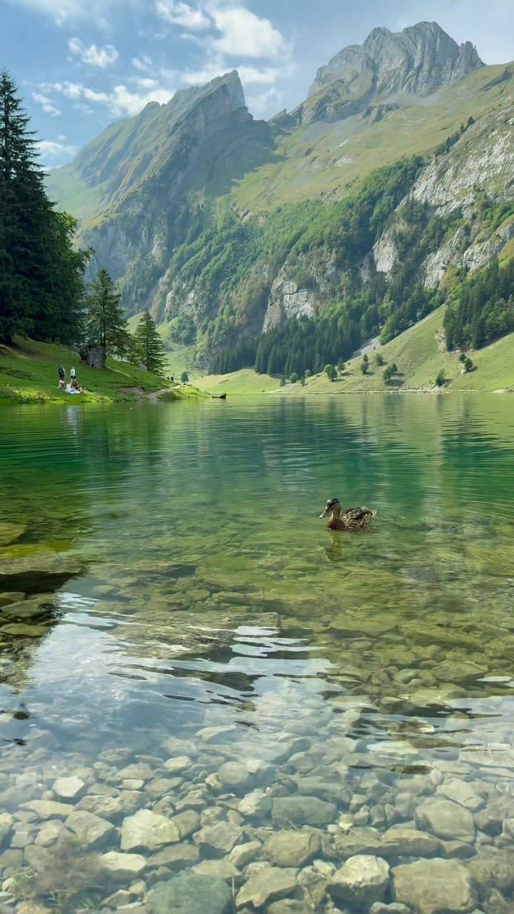 Seealpsee: A Swiss Alpine Paradise
