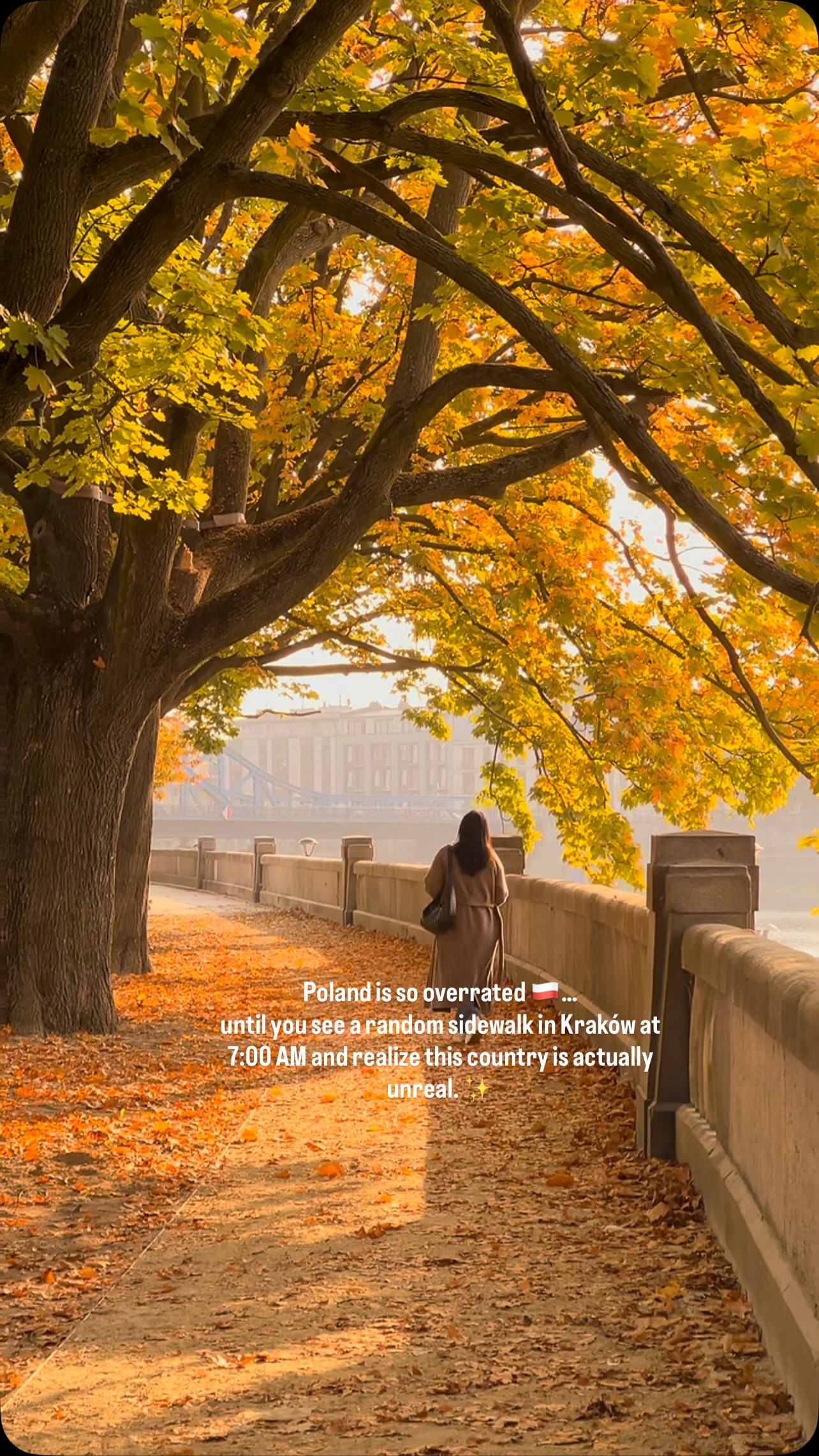 Krakow's Autumn Morning Foliage and Scenery
