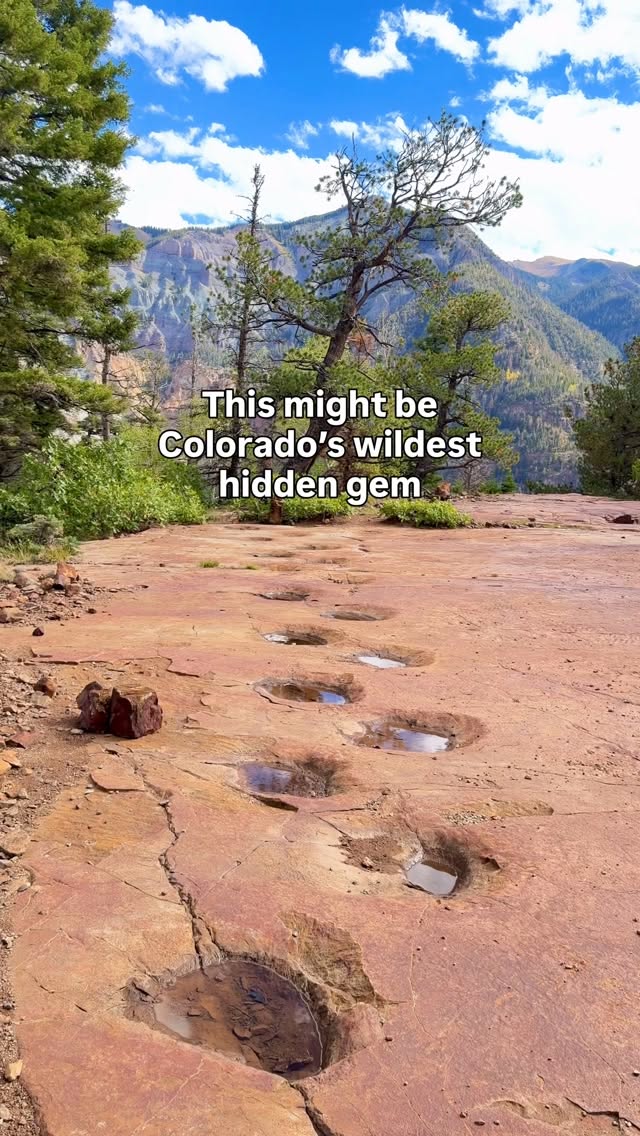 Dinosaur Trackway and Scenic Trails in Colorado