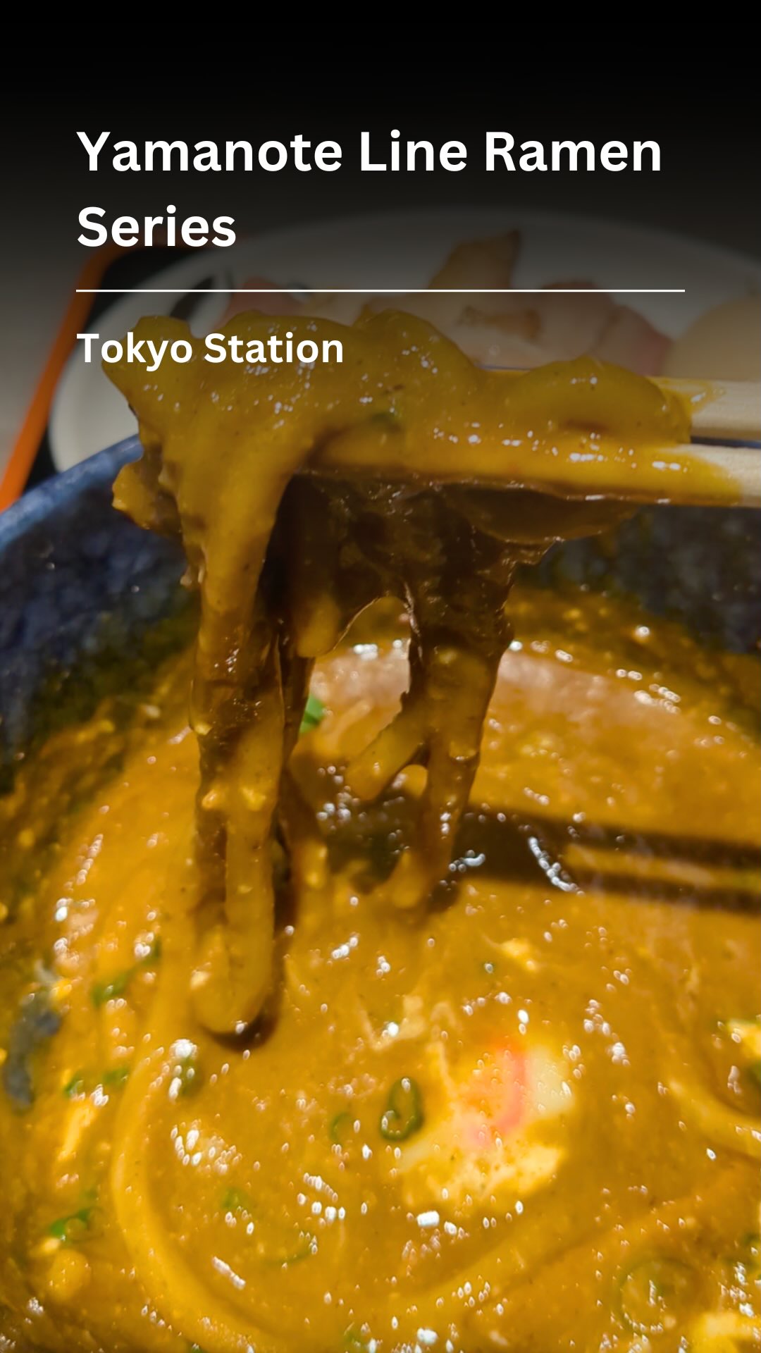 Ramen Journey: Tokyo Station's Curry Tsukemen