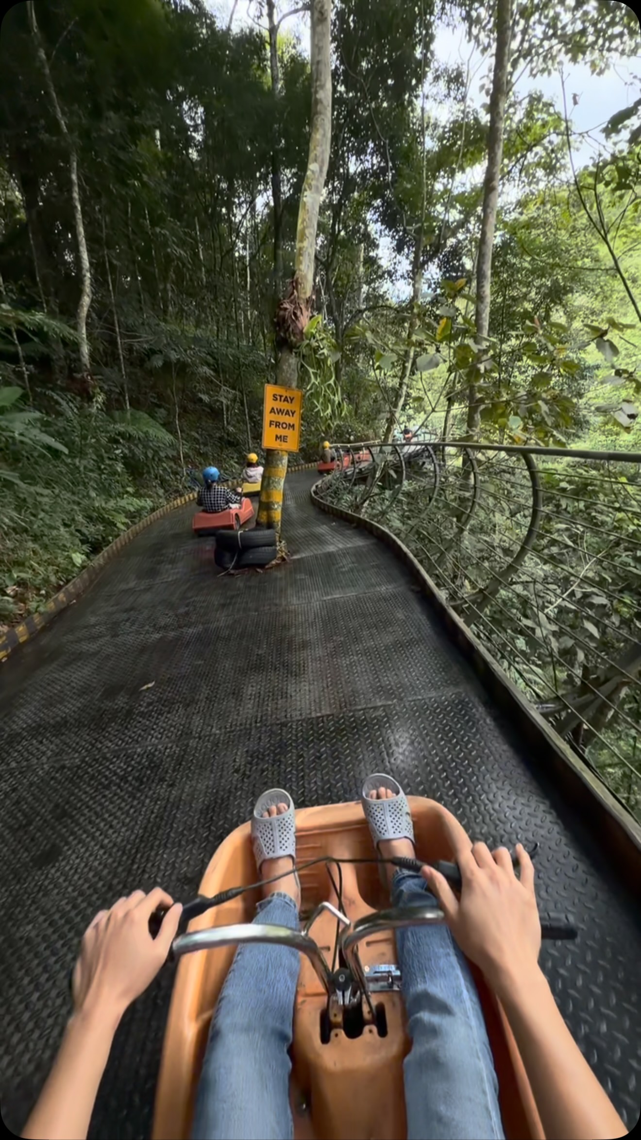 Dalat Flower Plateau Ecotourism Area's Greenline Luge