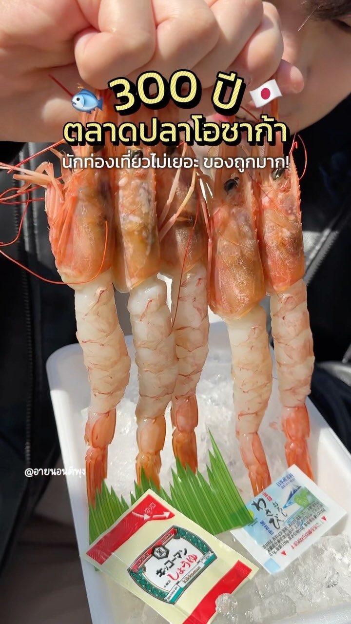Osaka Kizu Market Seafood and Japanese Delights