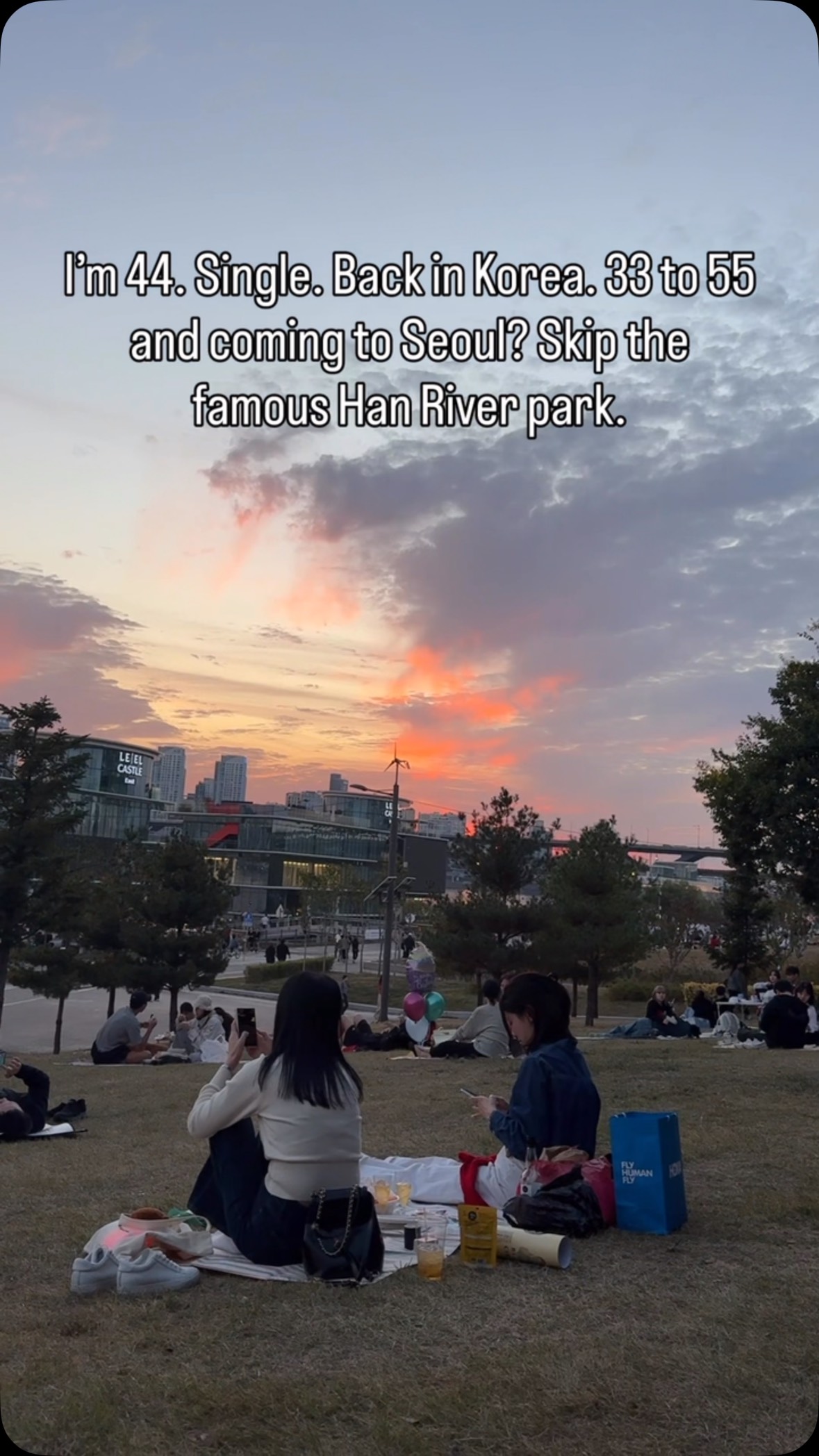 Ttukseom Hangang Park: Seoul's Riverside Picnic Spot