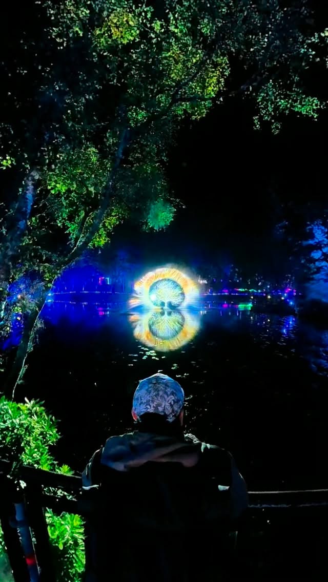 Scotland's Enchanting Forest Light Shows