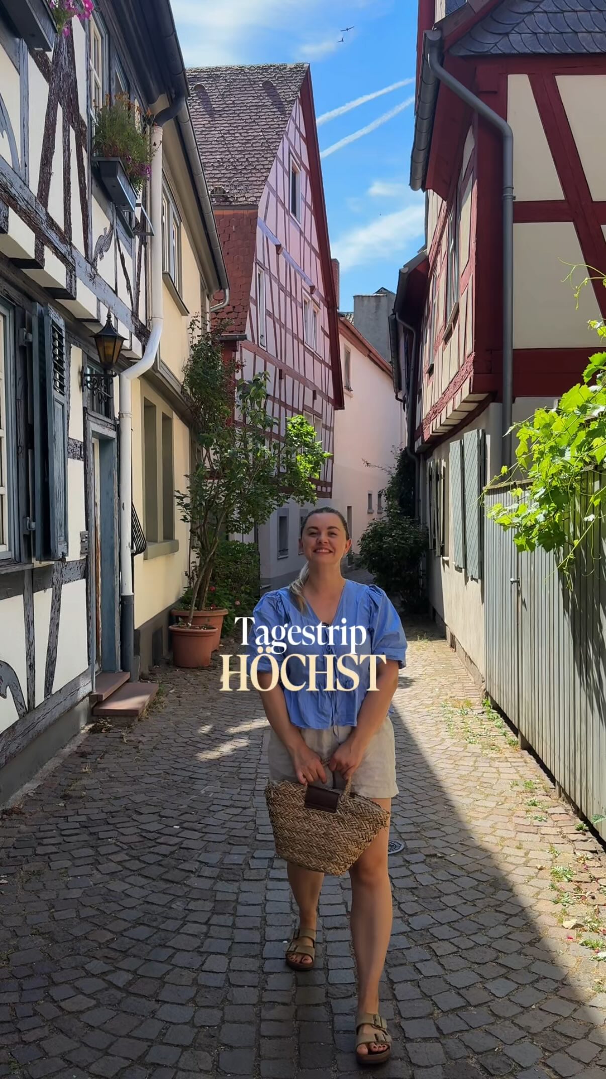 Höchst Day Trip: Markets, Castles, and Local Delights