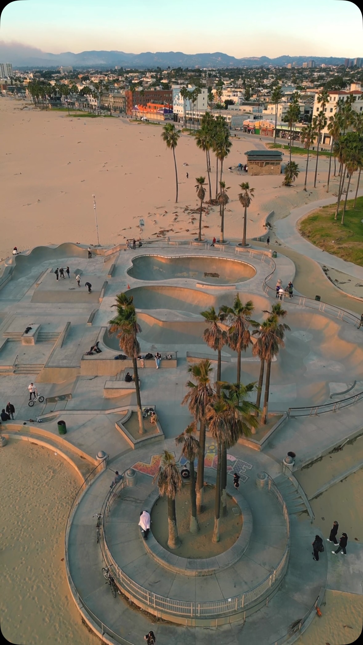 Los Angeles Scenes: In-N-Out Burger and Venice Skatepark