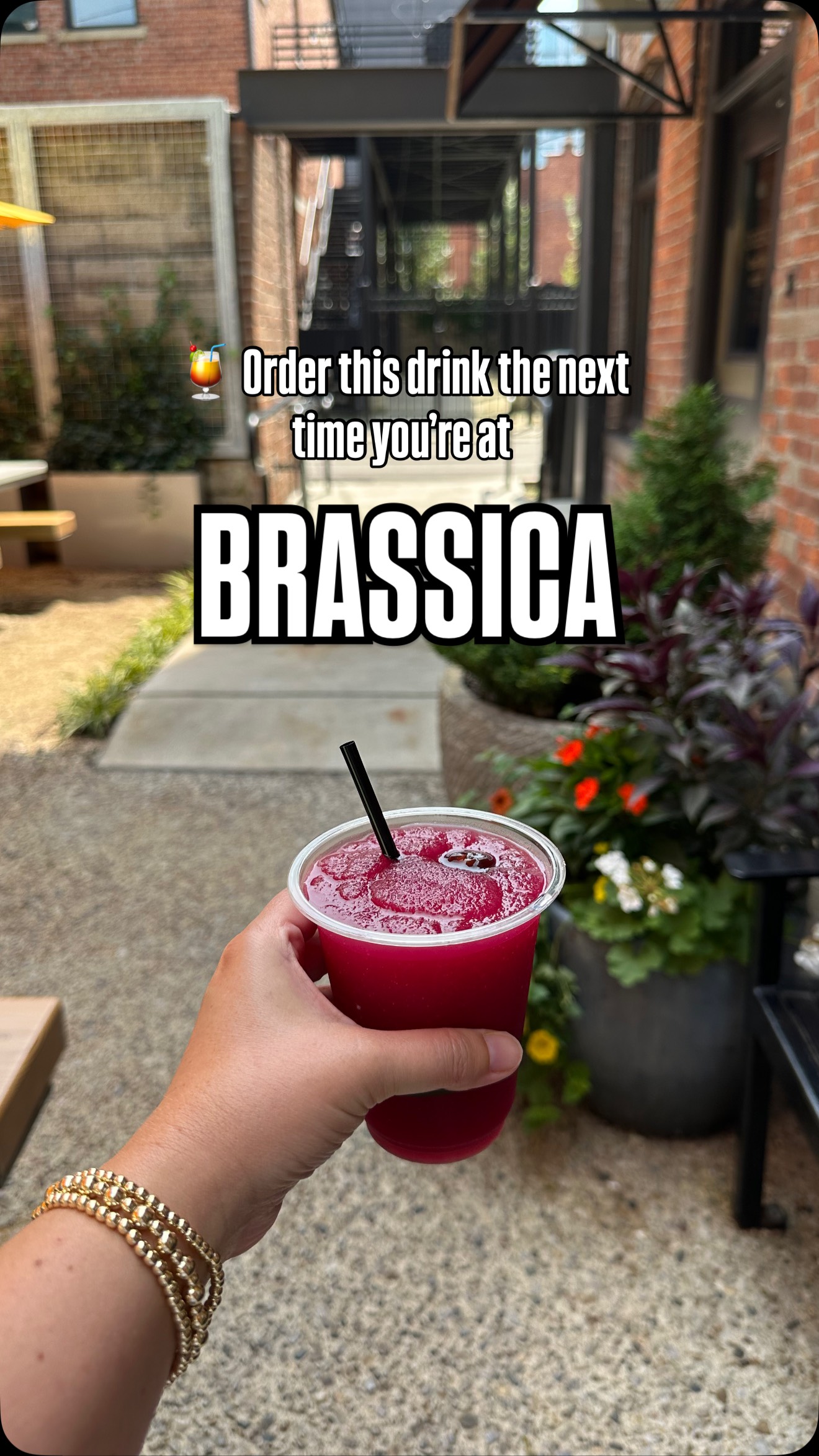 Brassica Restaurant in Columbus Showcases Mediterranean Fare