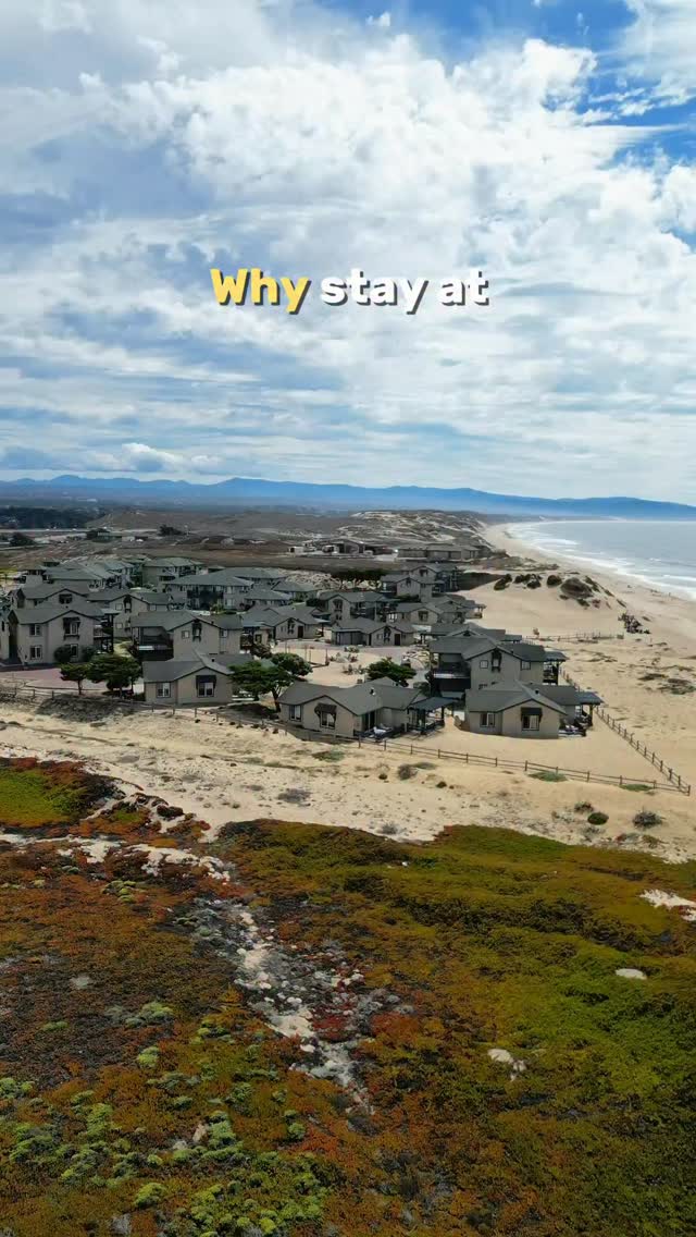 Dog-Friendly Beach Resort Stays and Dining
