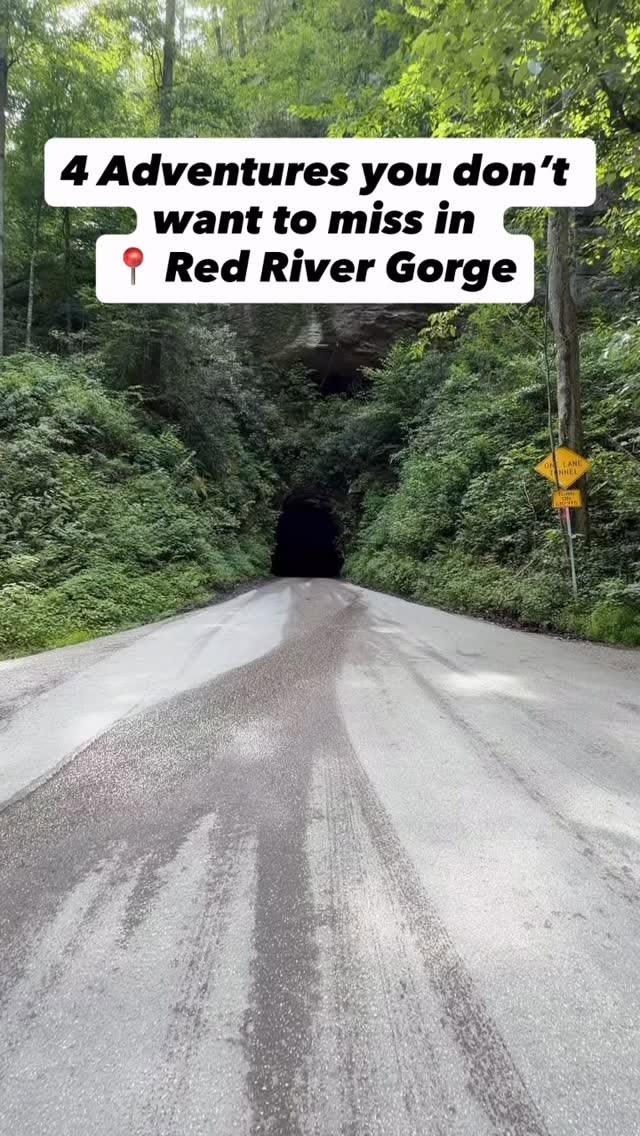 Red River Gorge Adventures: Natural Bridge and Nada Tunnel
