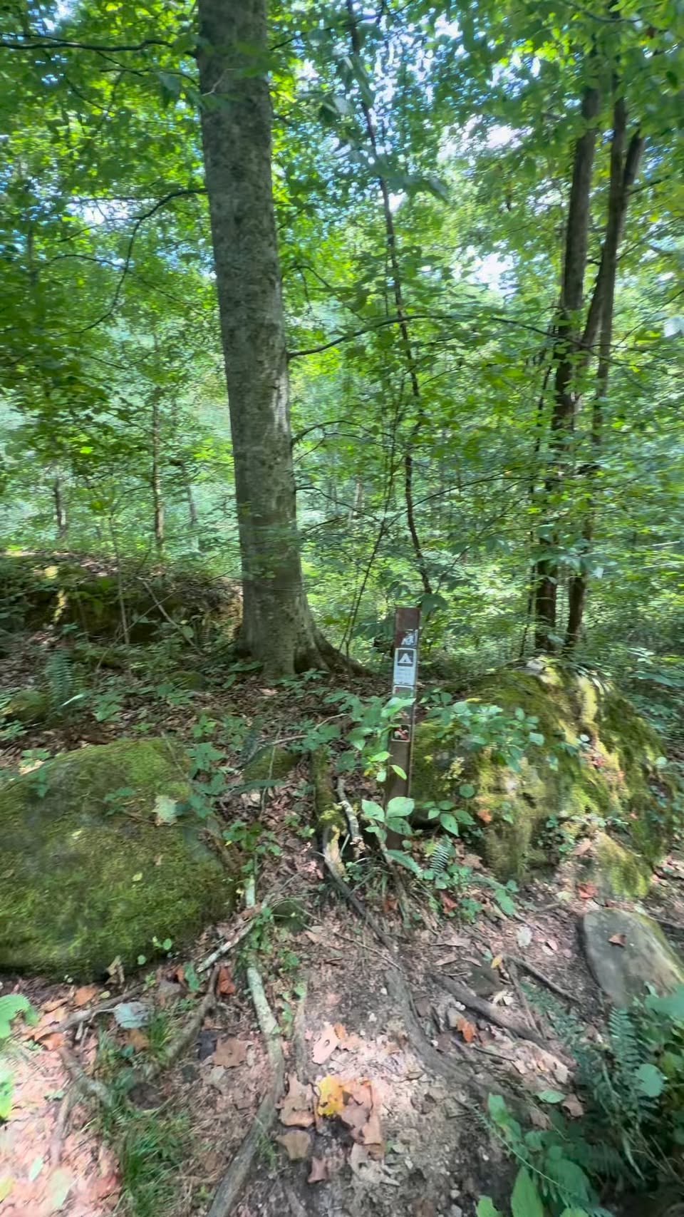 Red River Gorge Natural Wonders