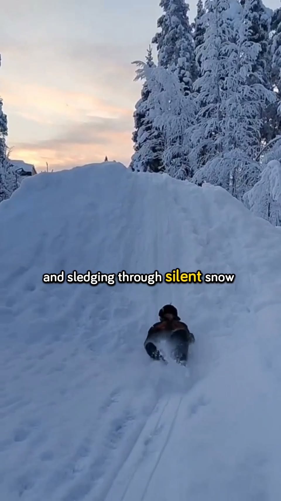 Arctic Adventures in Tromsø, Norway