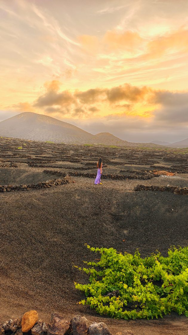 Volcanic Restaurant Harnesses Earth's Heat