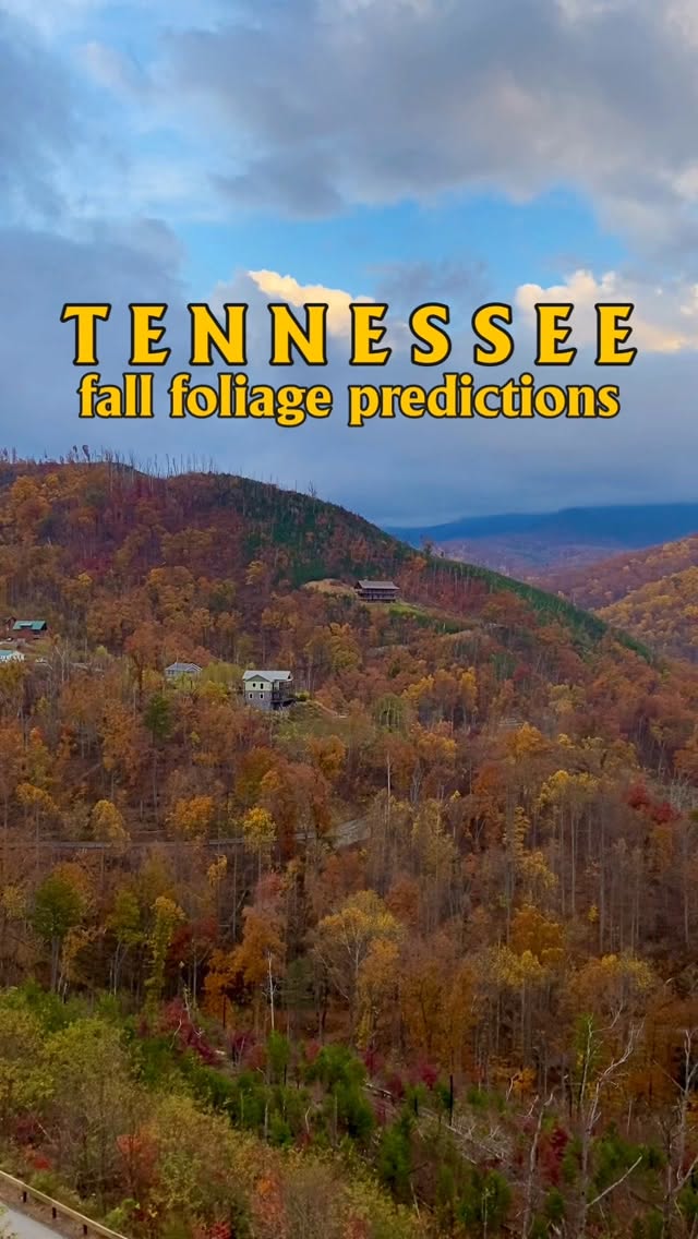 Tennessee Fall Foliage Peak Viewing Dates