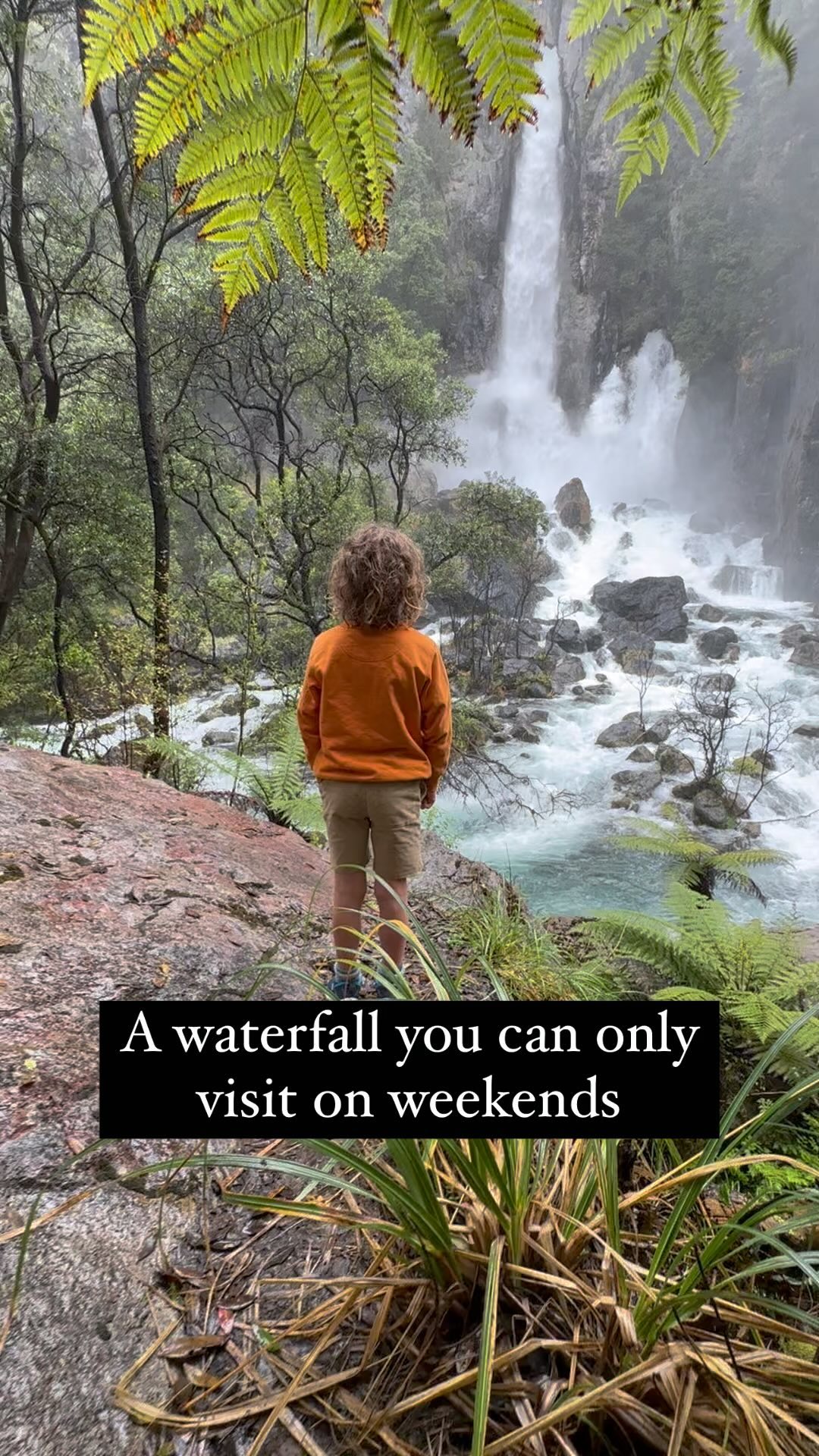 Weekend Waterfall Access via Forestry Road