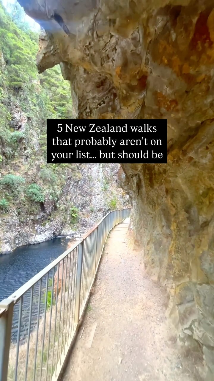 Explore New Zealand's Unique Trails