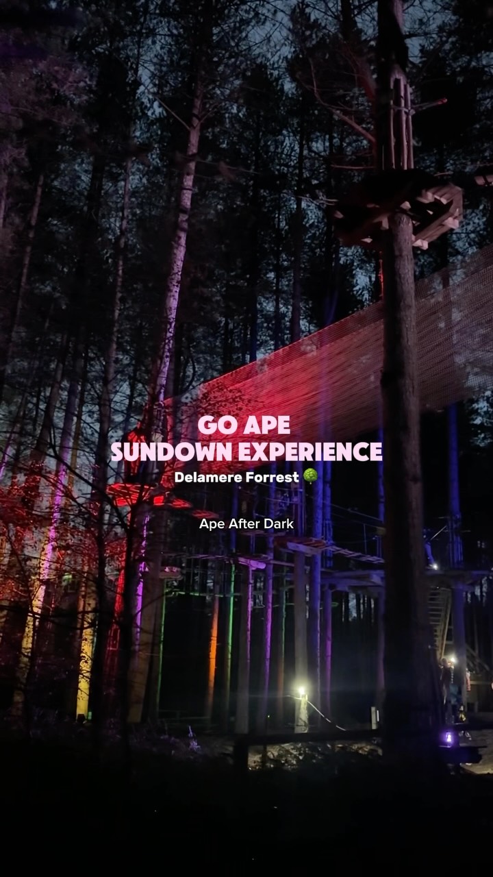 Nighttime Forest Adventure At Delamere Forest
