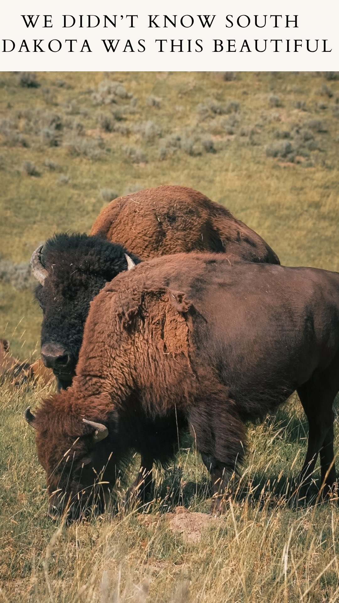 South Dakota's Natural Wonders And Iconic Monuments