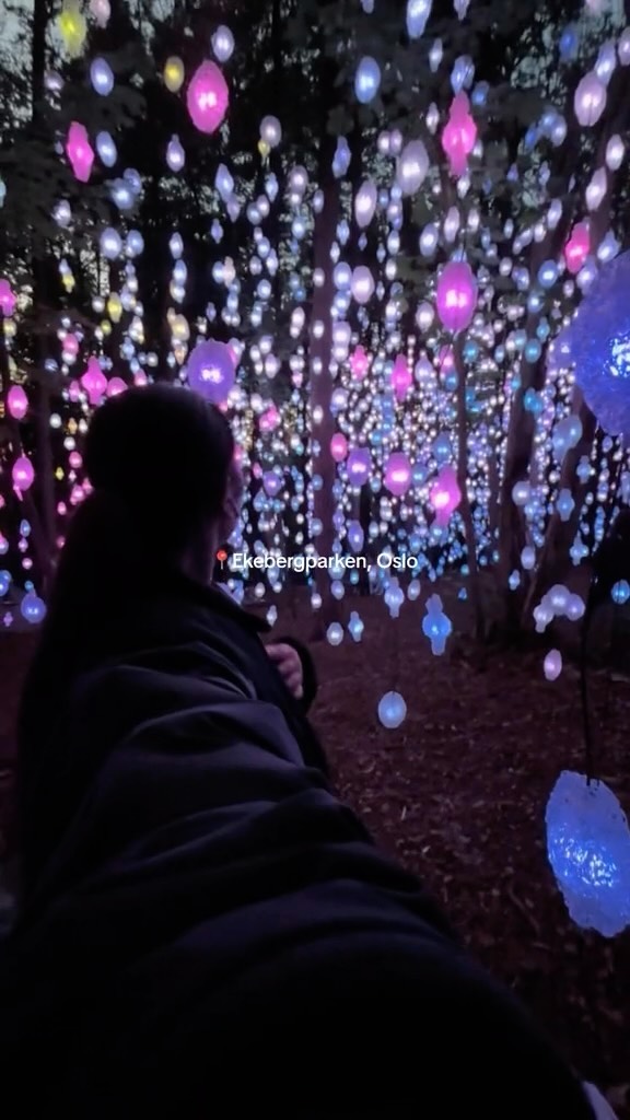 Ekebergparken's Enchanting Light Art Installation