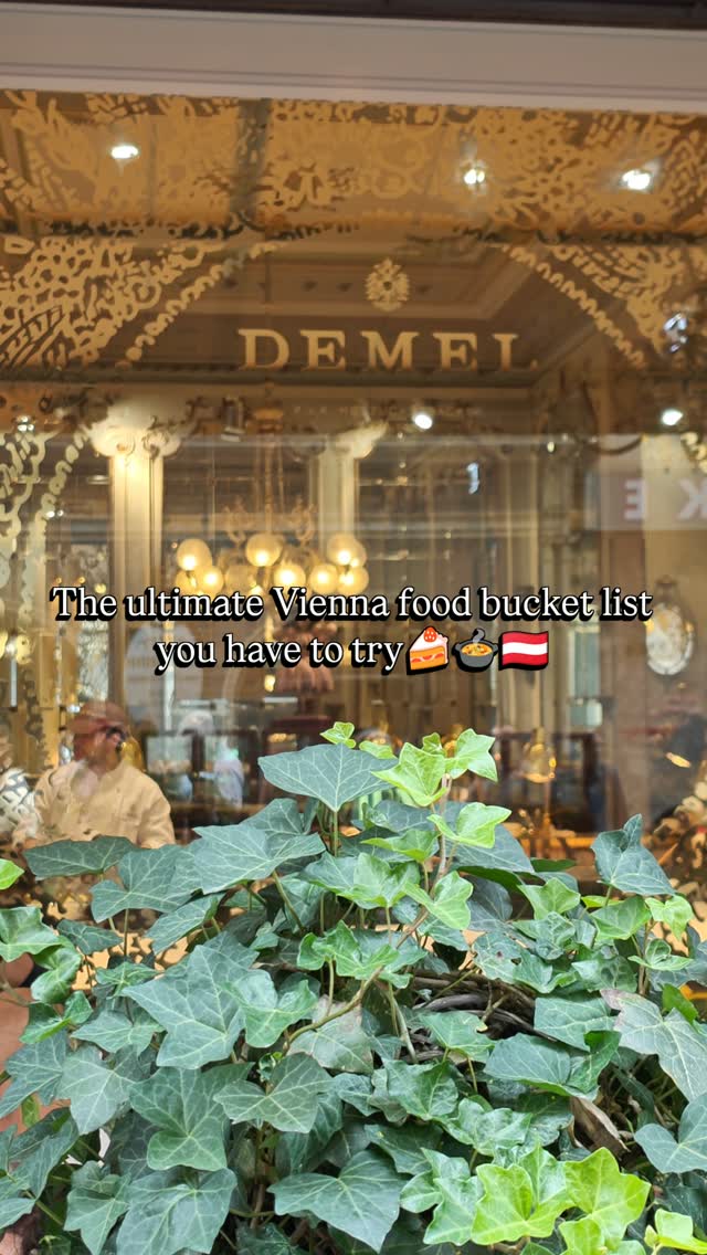 Vienna's Traditional Eateries and Culinary Delights