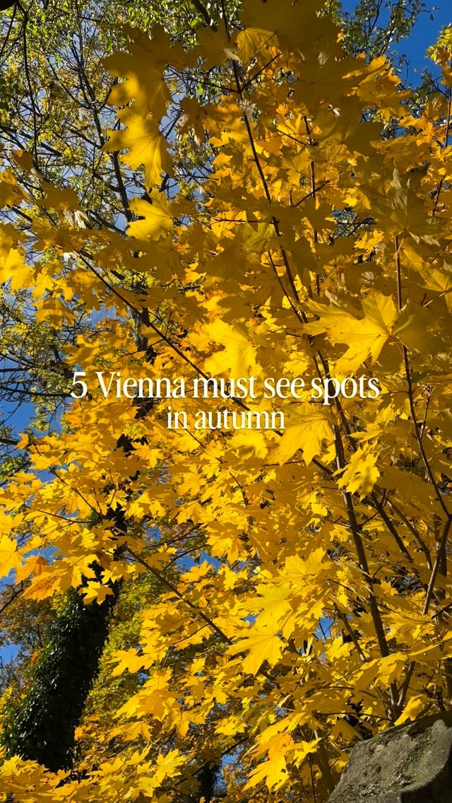 Five Autumnal Vienna Parks And Gardens