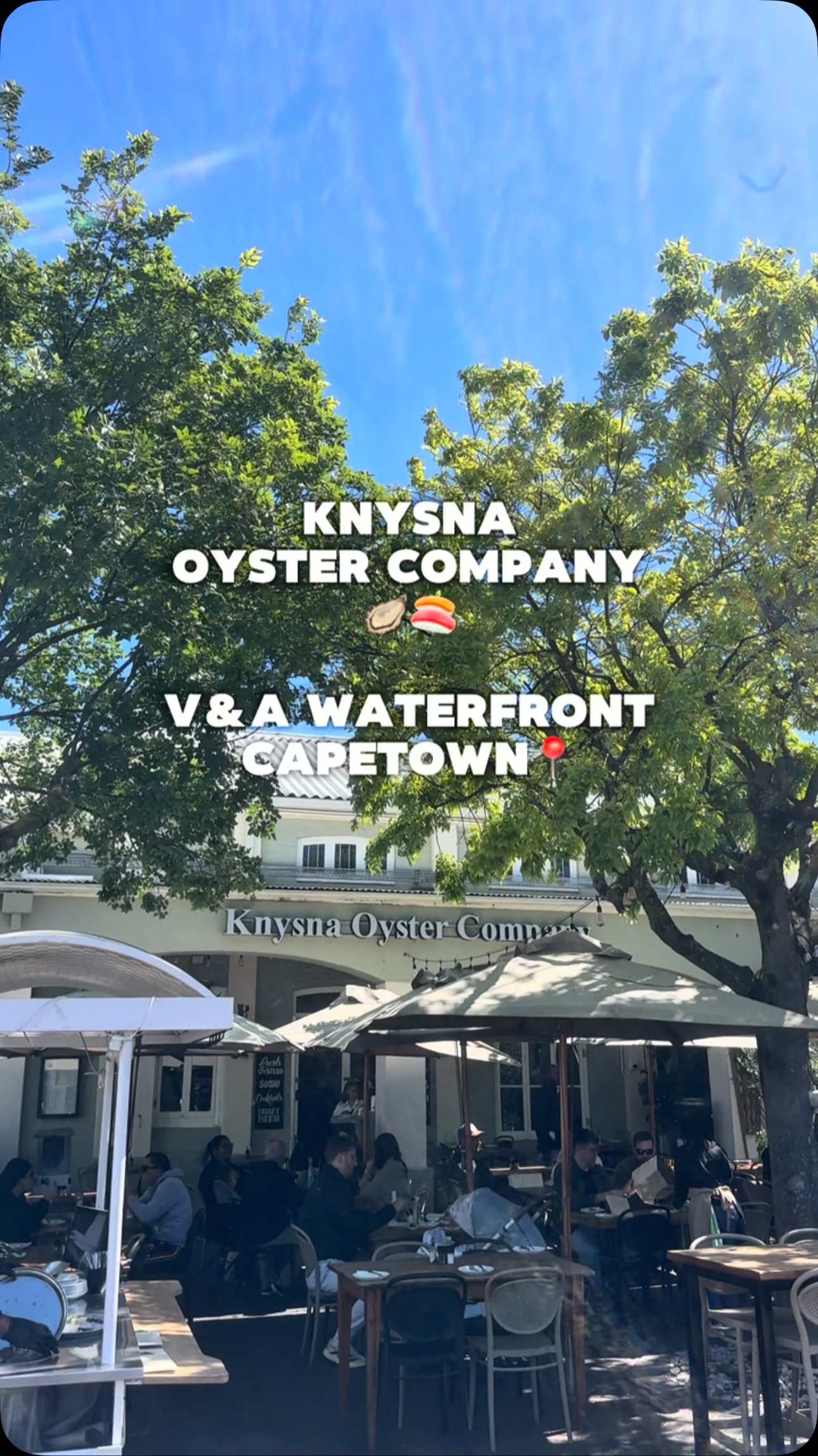 Cape Town Waterfront's Seafood Delights