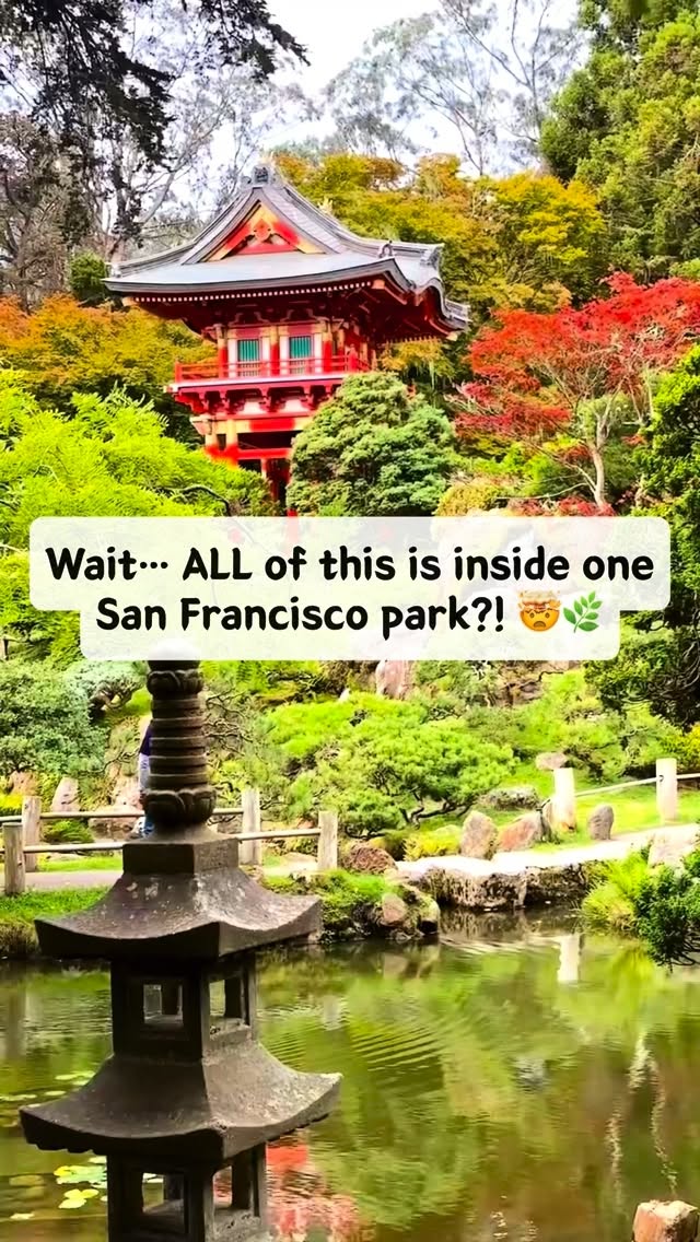 Explore Golden Gate Park's Nine Diverse Attractions
