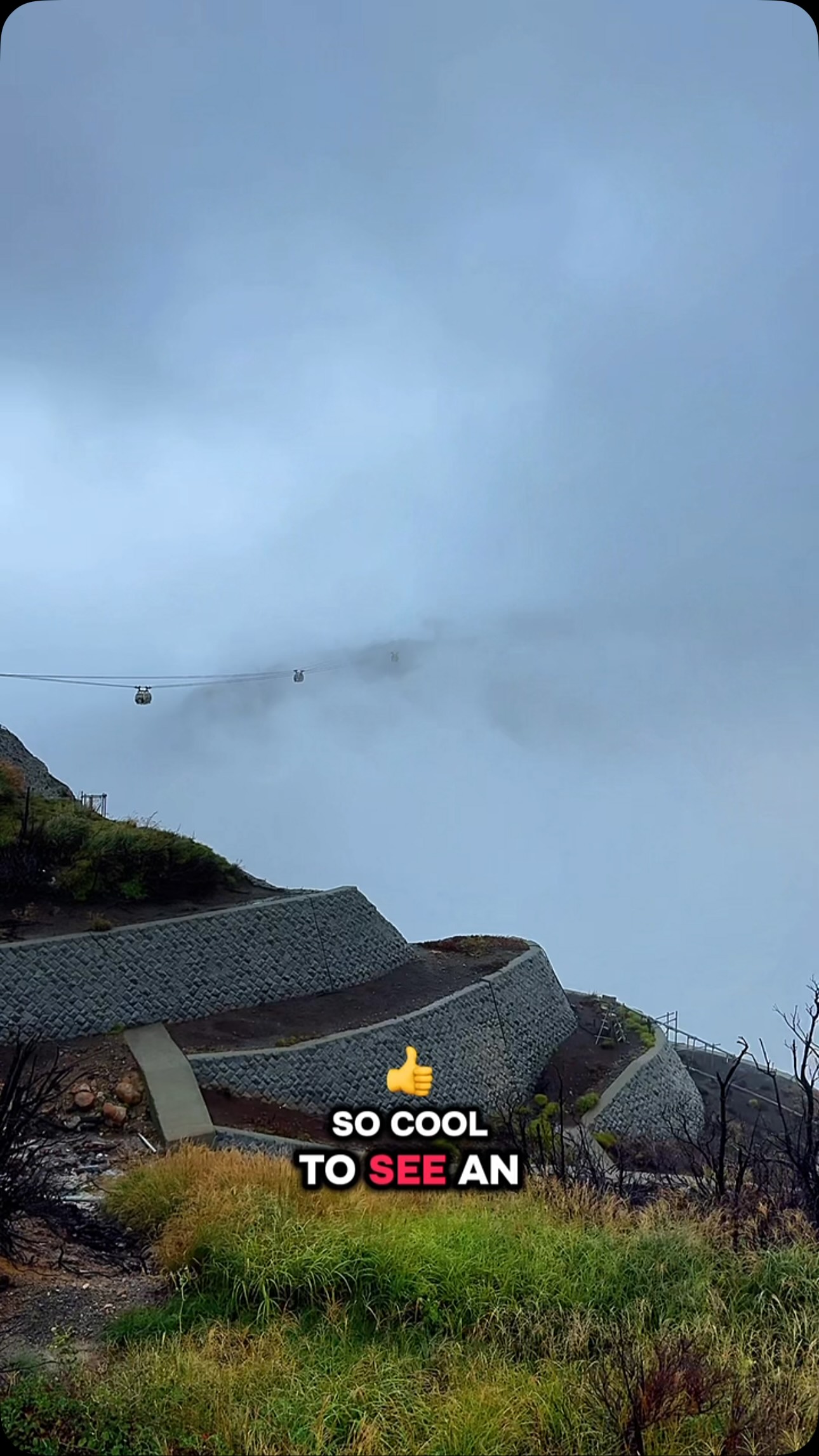 Hakone Loop: Volcano, Lake, Shrine, and Ropeway