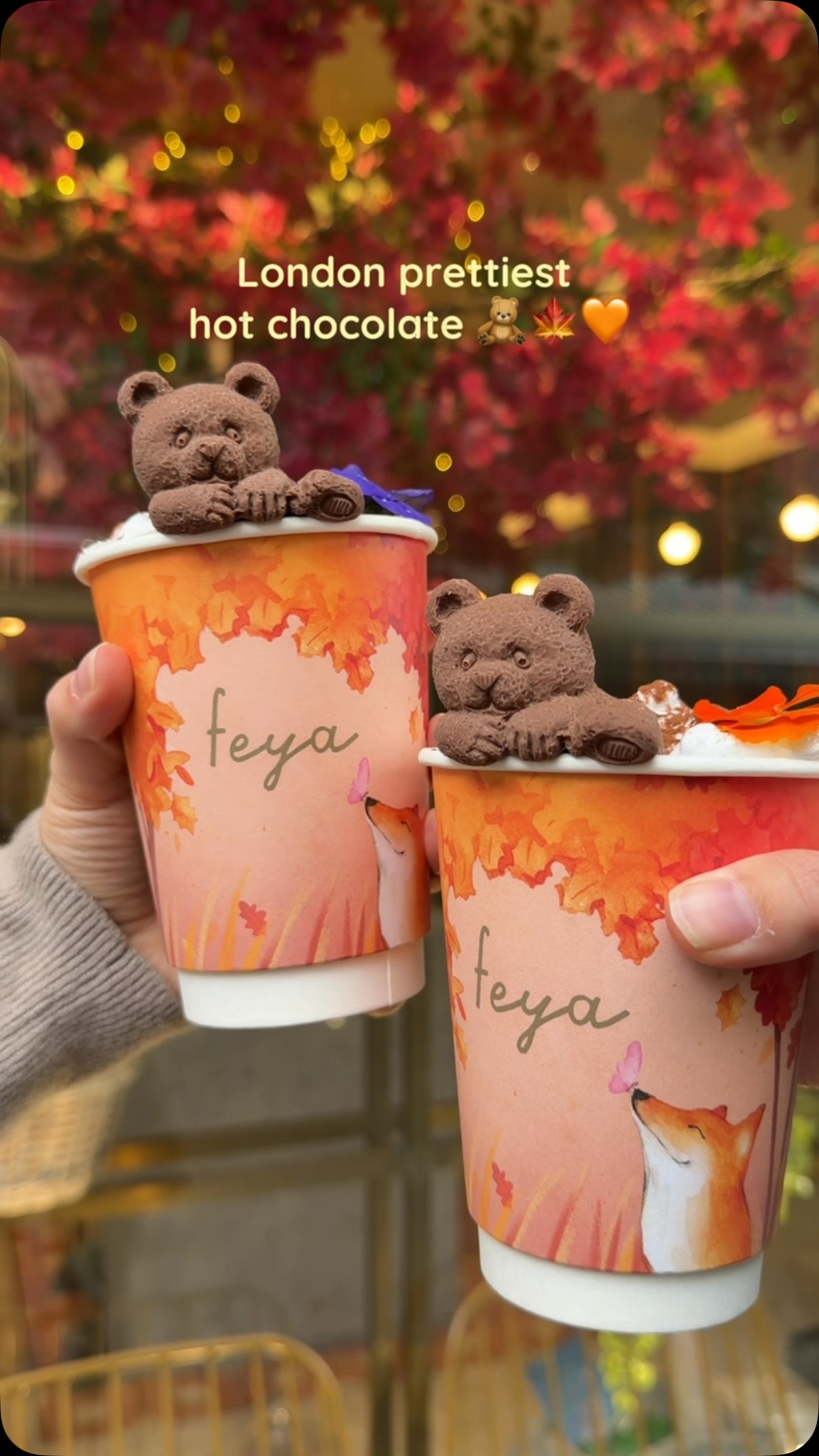 Feya's Adorable Chocolate Bear Hot Chocolate