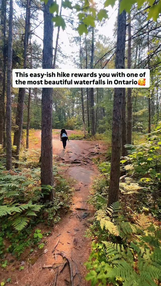 Recollet Falls Hike Through Ontario's Forests