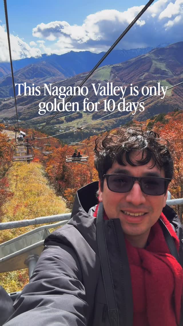 Hakuba Autumn Foliage Views and Cafes