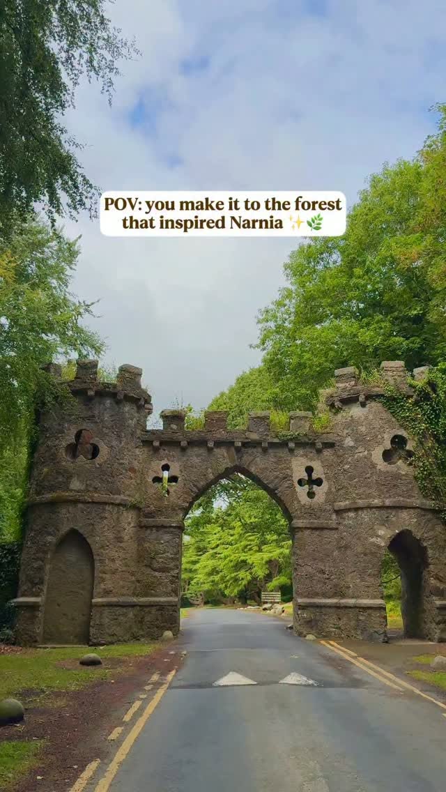 Northern Ireland's Narnia Forest and Mountains