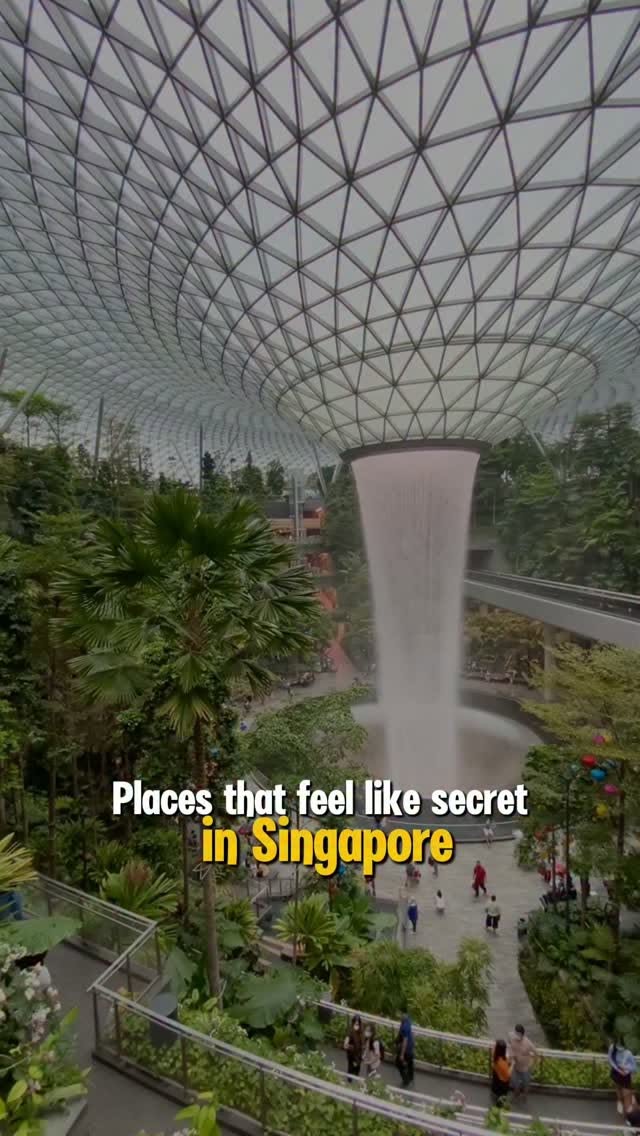 Singapore's Top Attractions: Parks, Museums, and More