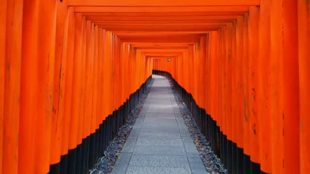 Kyoto Shrine Features Thousands of Torii Gates