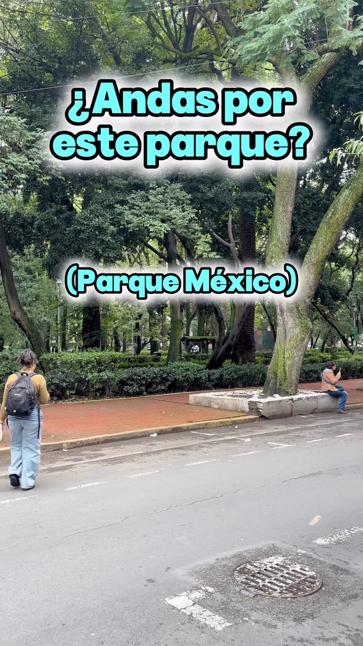 Parque Mexico to All-You-Can-Eat Taco Buffet