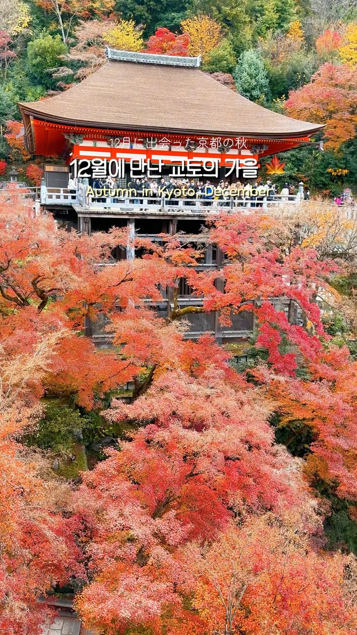 Kyoto's Autumn Beauty: Famous Landmarks And Foliage