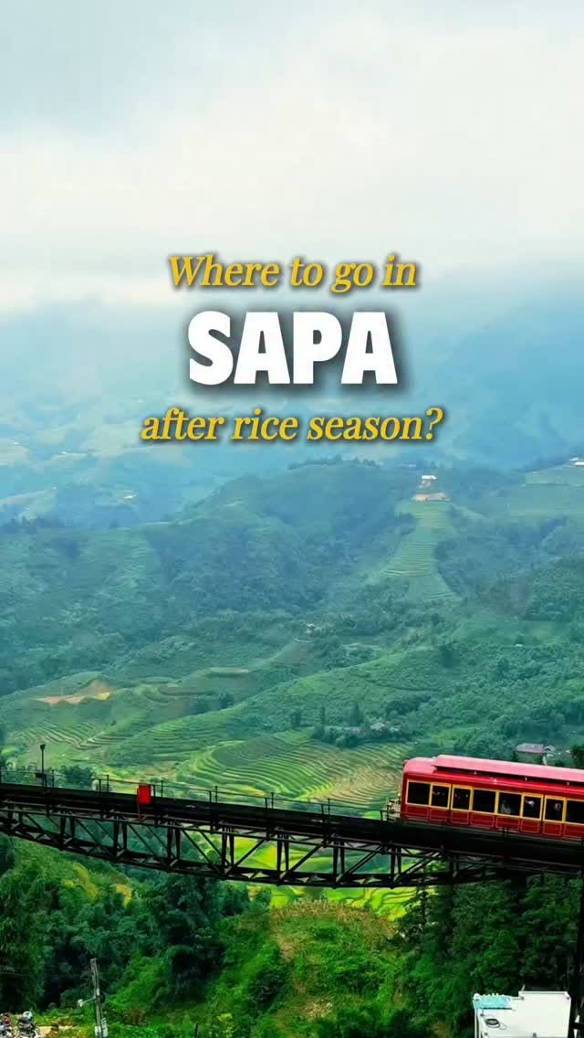Top Sapa Attractions After Rice Season