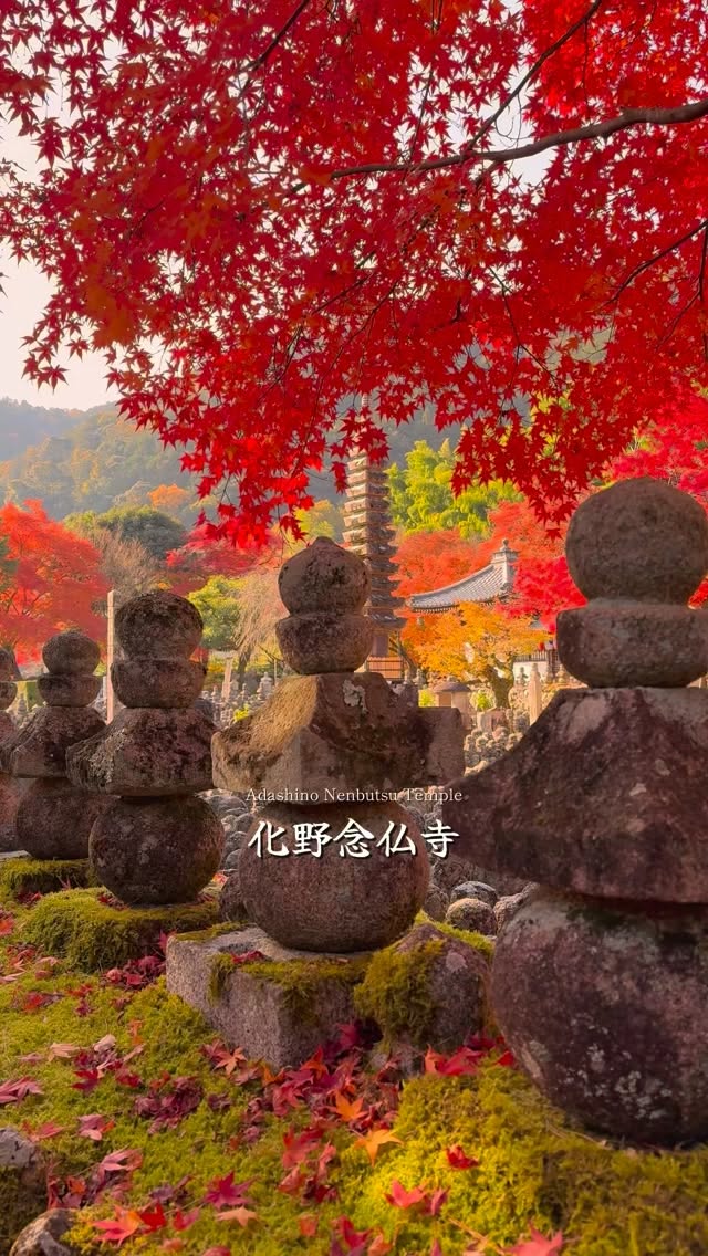 Adashino Nenbutsu-ji Temple's Autumn Colors