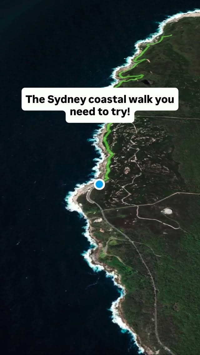 Coastal Walks Featuring Cape Baily Track