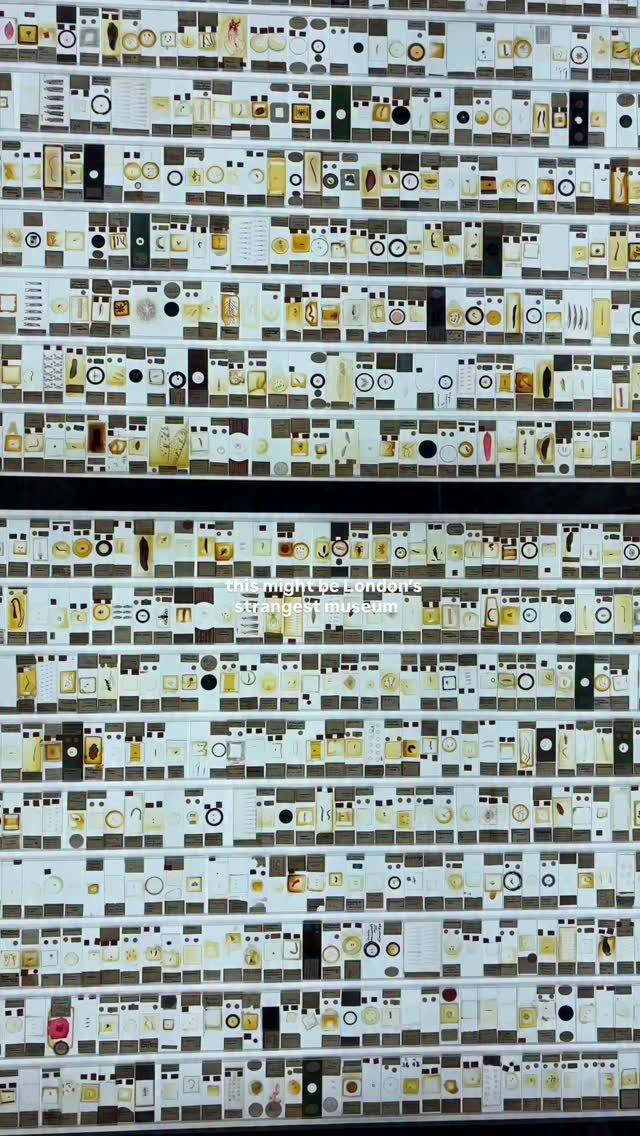 Grant Museum of Zoology: A Victorian Cabinet of Curiosities