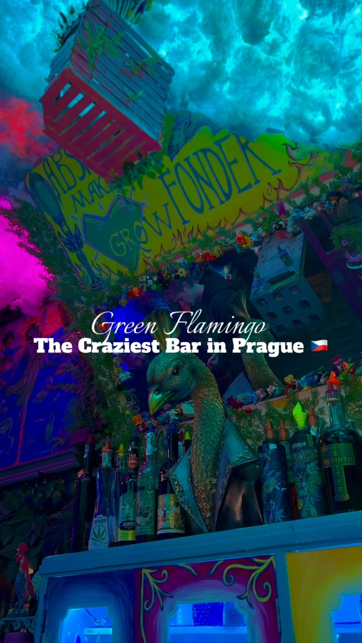 Green Flamingo Bar's Unique, Colorful Ambiance