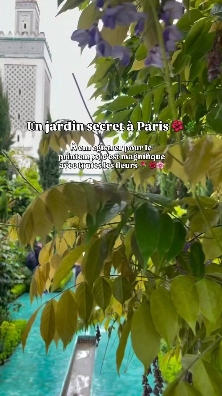 Paris Mosque Garden's Springtime Magnificence